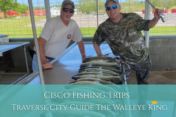 Cisco Fishing