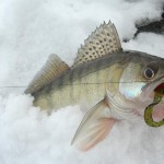 Ice Fishing