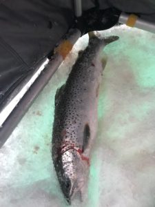 Ice Fishing