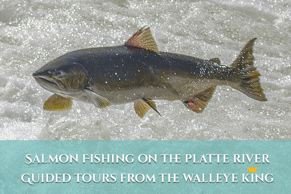 Salmon Fishing On The Platte River