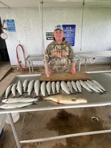 Cisco Fishing