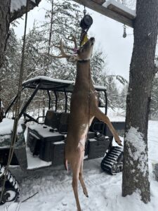 Deer Hunting